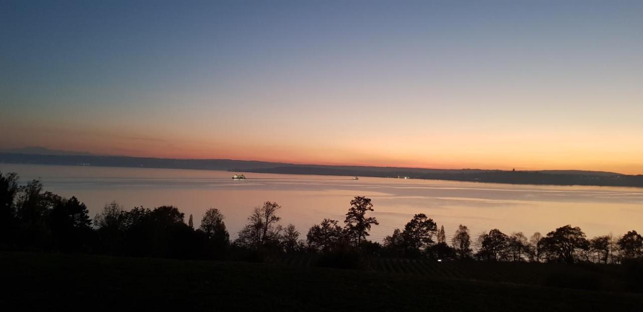 Lakeview Penthouse Meersburg Bagian luar foto