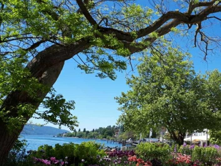 Lakeview Penthouse Meersburg Bagian luar foto