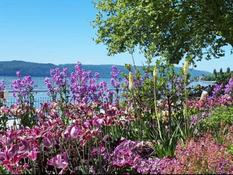 Lakeview Penthouse Meersburg Bagian luar foto
