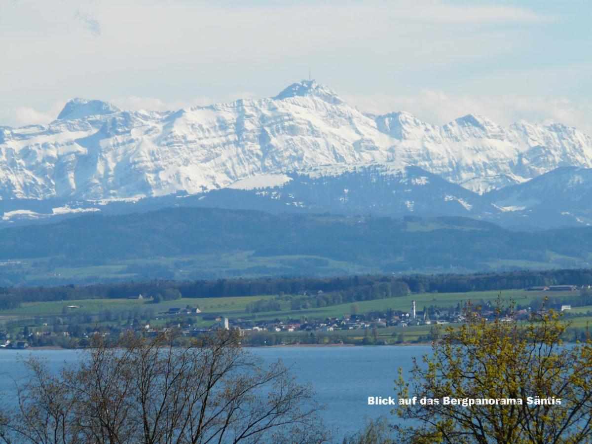 Lakeview Penthouse Meersburg Bagian luar foto
